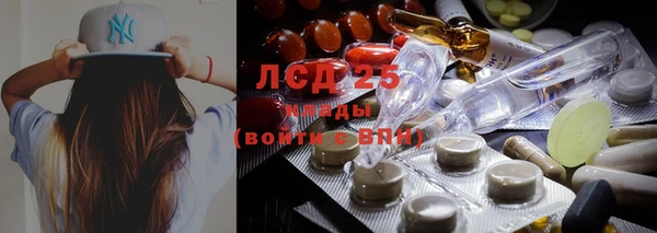 дживик Баксан