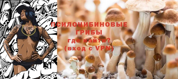 дживик Баксан