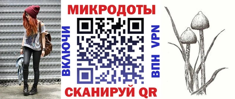 Галлюциногенные грибы Psilocybine cubensis  kraken   Волчанск 